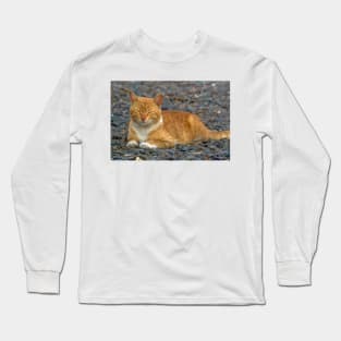 CAT IN THE GARDEN Long Sleeve T-Shirt